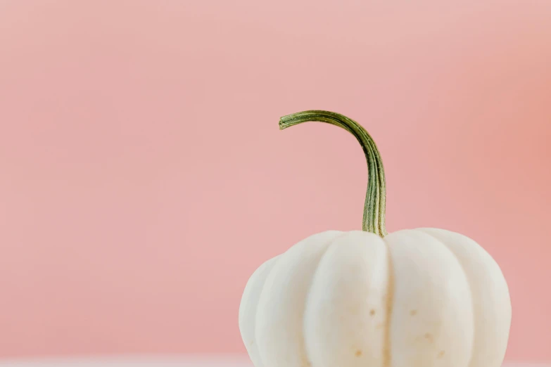 a white pumpkin sitting on top of a table, by Carey Morris, trending on unsplash, minimalism, pink background, background image, uncrop, pointè pose