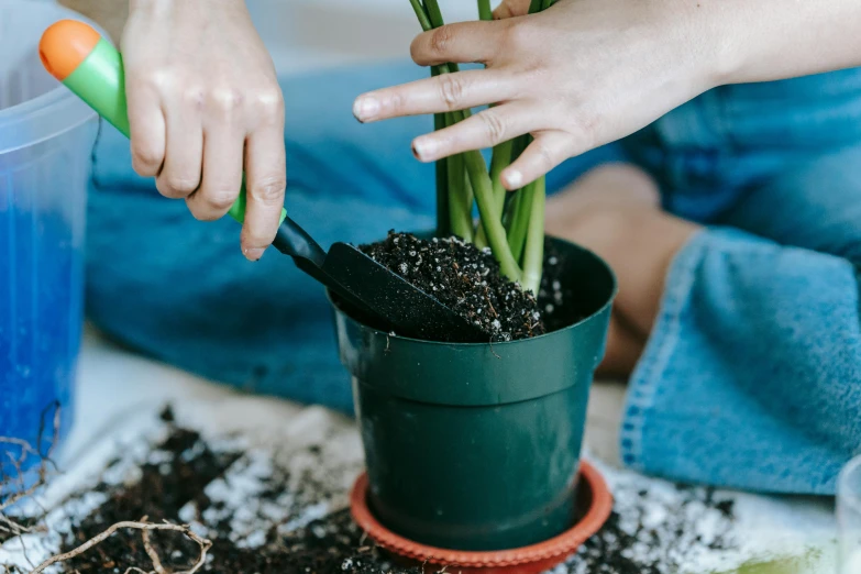 a close up of a person holding a plant in a pot, by Julia Pishtar, pexels contest winner, plasticien, surrounding onions, how-to, amanda lilleston, creating a soft