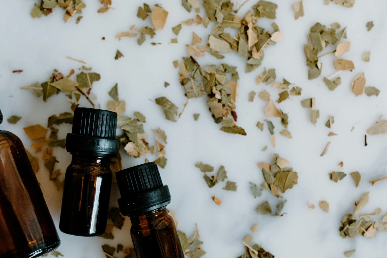 a couple of bottles sitting on top of a table, by Emma Andijewska, trending on pexels, dried leaves, skincare, green robes, recipe