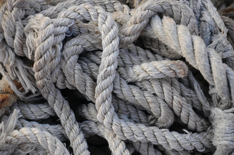 a pile of rope sitting on top of a pile of wood, grayish, up-close, bulbous, windings