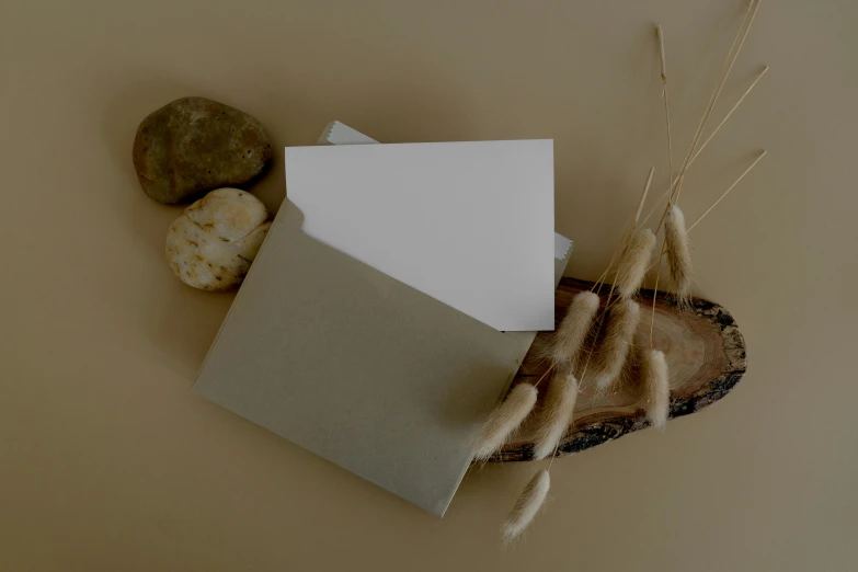 a piece of paper sitting on top of a piece of wood, various items, taupe, background image, very aesthetic