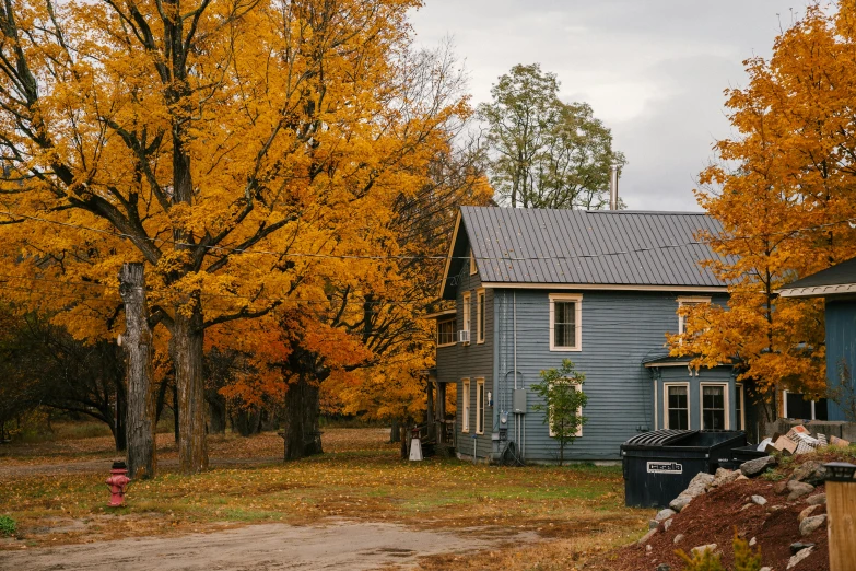 a blue house with a red fire hydrant in front of it, by Jessie Algie, unsplash contest winner, folk art, maple trees with fall foliage, photography of gregory crewdson, outside in a farm, “ iron bark