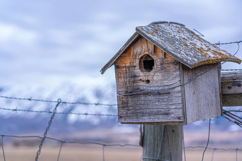 a bird house sitting on top of a wooden post, by Neil Blevins, pexels contest winner, iceland photography, background image, panels, a cozy