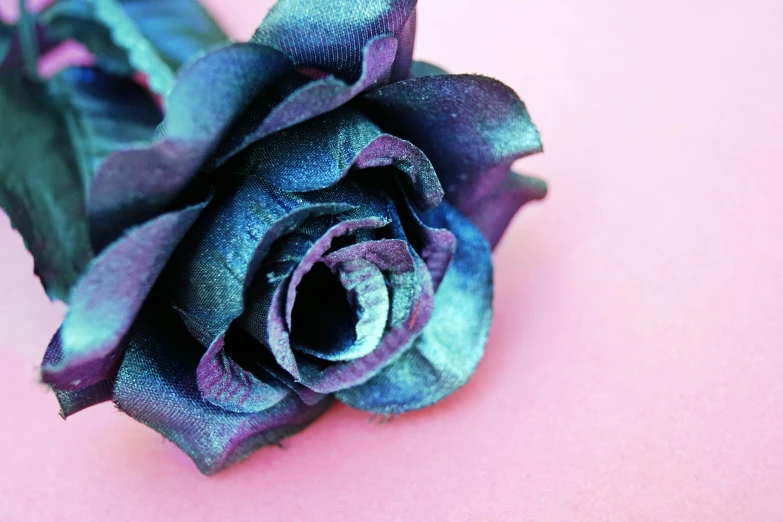 a close up of a flower on a pink surface, by Rachel Reckitt, pexels contest winner, purple and blue leather, rose crown, foil effect, midnight-blue