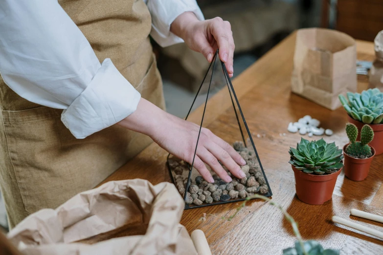 a close up of a person holding a plant on a table, pexels contest winner, arts and crafts movement, in triangular formation, gravels around, pulling strings, cardboard