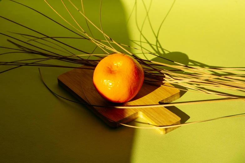 an orange sitting on top of a wooden cutting board, a still life, inspired by Orazio Gentileschi, unsplash, orange grass, glowing peach face, glossy surface, on a sunny day