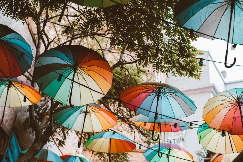 a bunch of colorful umbrellas hanging from a tree, by Julia Pishtar, trending on unsplash, raining outside the cafe, lo fi colors, multiple stories, with paper lanterns