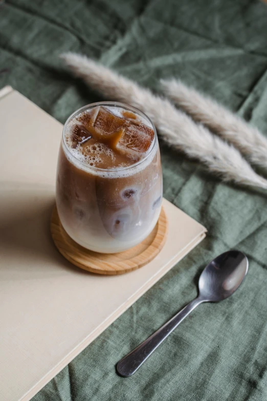 a glass of iced coffee sitting on top of a book, by Tan Ting-pho, renaissance, light grey mist, moonstone, soymilk, bao phan