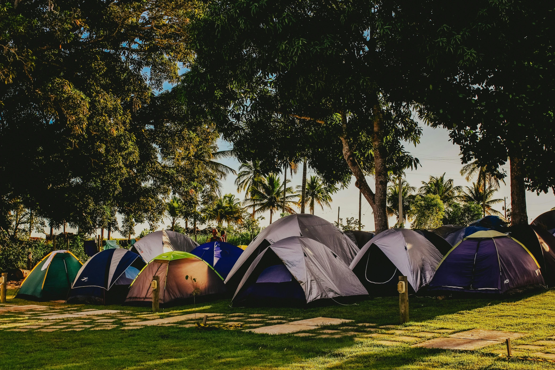 a group of tents sitting on top of a lush green field, standing near the beach, 🚿🗝📝