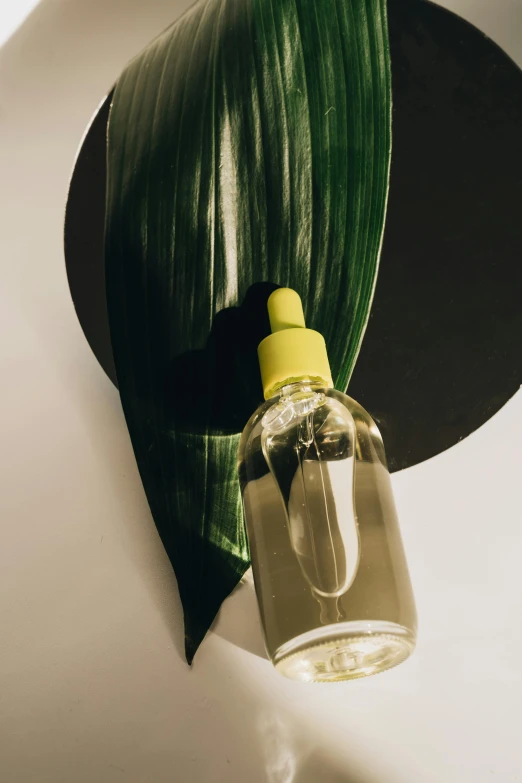 a bottle of liquid sitting on top of a toilet, by Carey Morris, trending on pexels, big leaf bra, glossy yellow, organic texture, flat lay