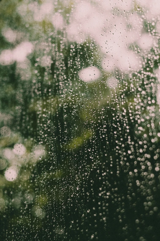 a close up of a window with raindrops on it, inspired by Elsa Bleda, trending on unsplash, lush surroundings, ilustration, wet reflections in square eyes, water is made of stardust