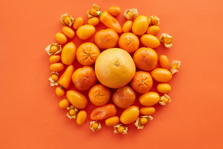 a group of fruits arranged in a circle on an orange background, by Carey Morris, shutterstock contest winner, tomato monster, light orange mist, monochromatic, 🐿🍸🍋