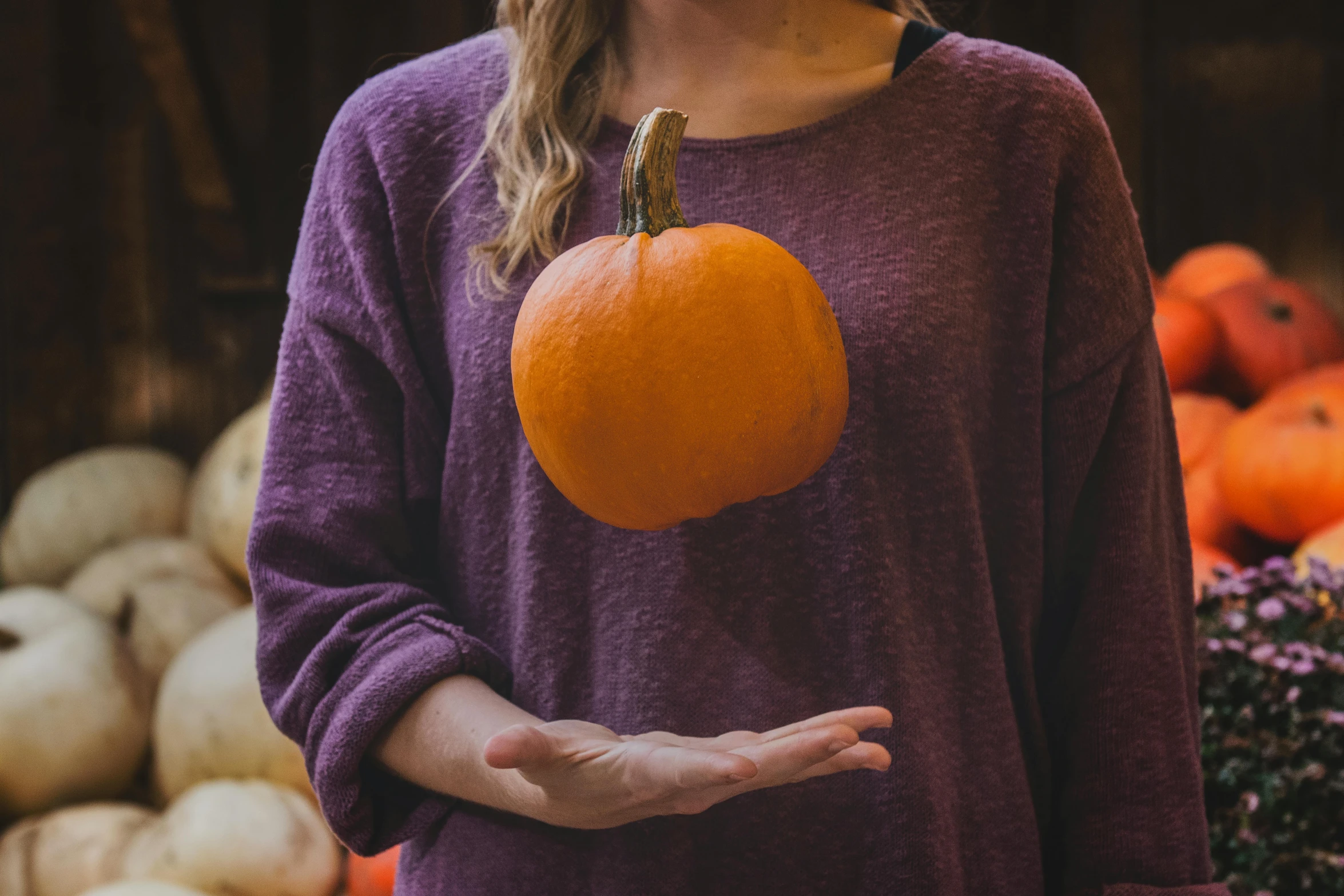 a woman holding an orange in front of a pile of pumpkins, pexels contest winner, 🦩🪐🐞👩🏻🦳, deep purple and orange, simple shape, round-cropped