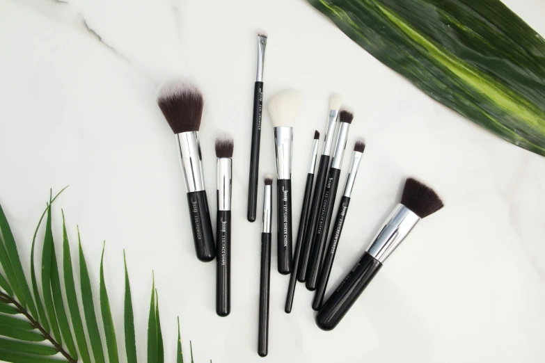 a group of makeup brushes sitting on top of a marble counter, by Julia Pishtar, photorealism, lush greens, black and silver, tropical, full face view