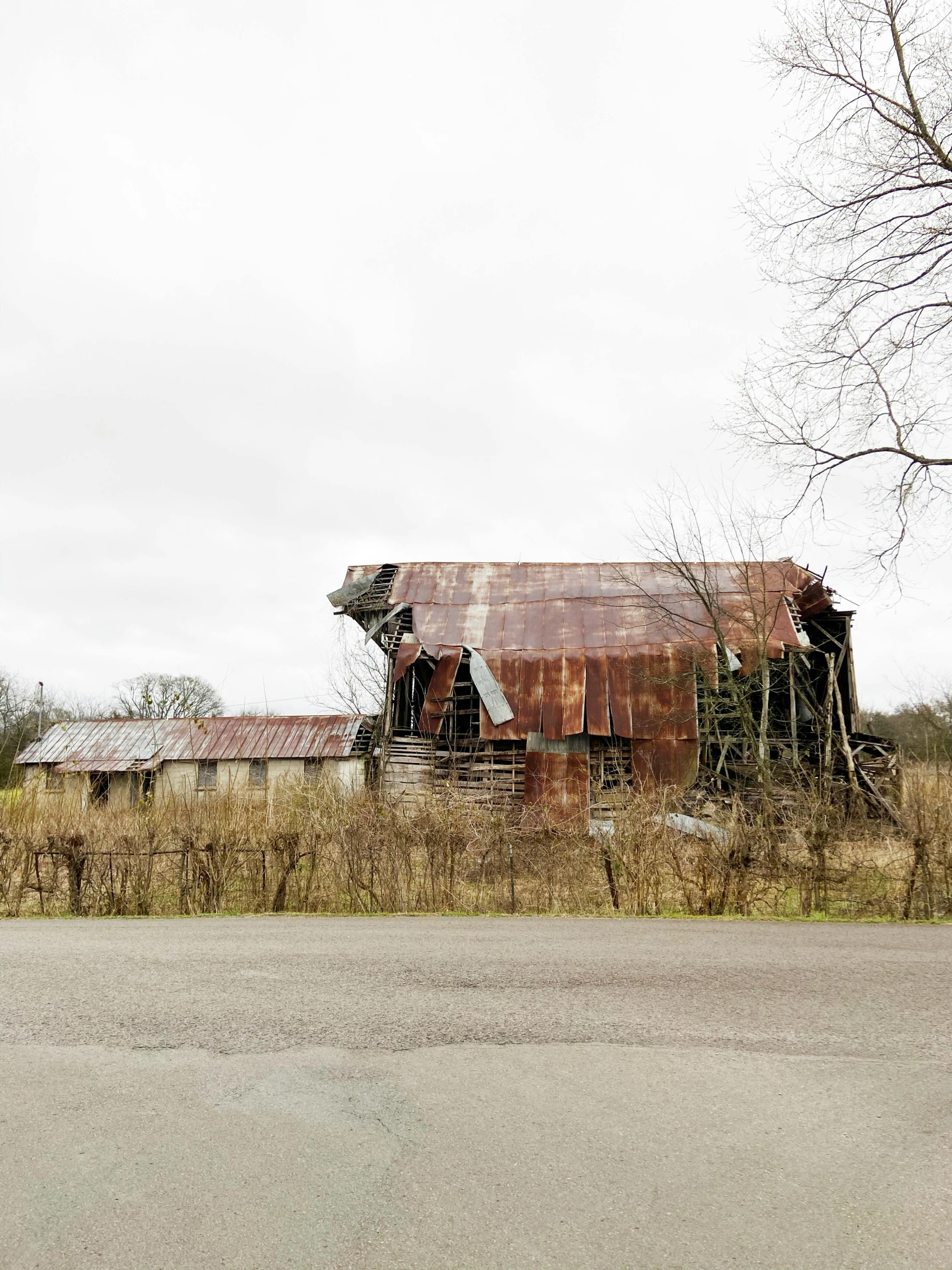 a red fire hydrant sitting on the side of a road, by Kristin Nelson, renaissance, barn, collapsed brutalist architecture, 8 k -, still photograph