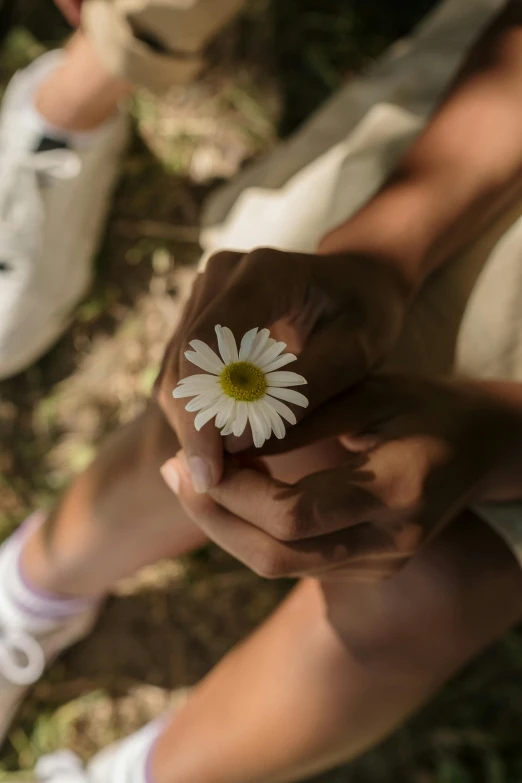 a person holding a flower in their hands, daisy, promo image, flower child, environmental shot