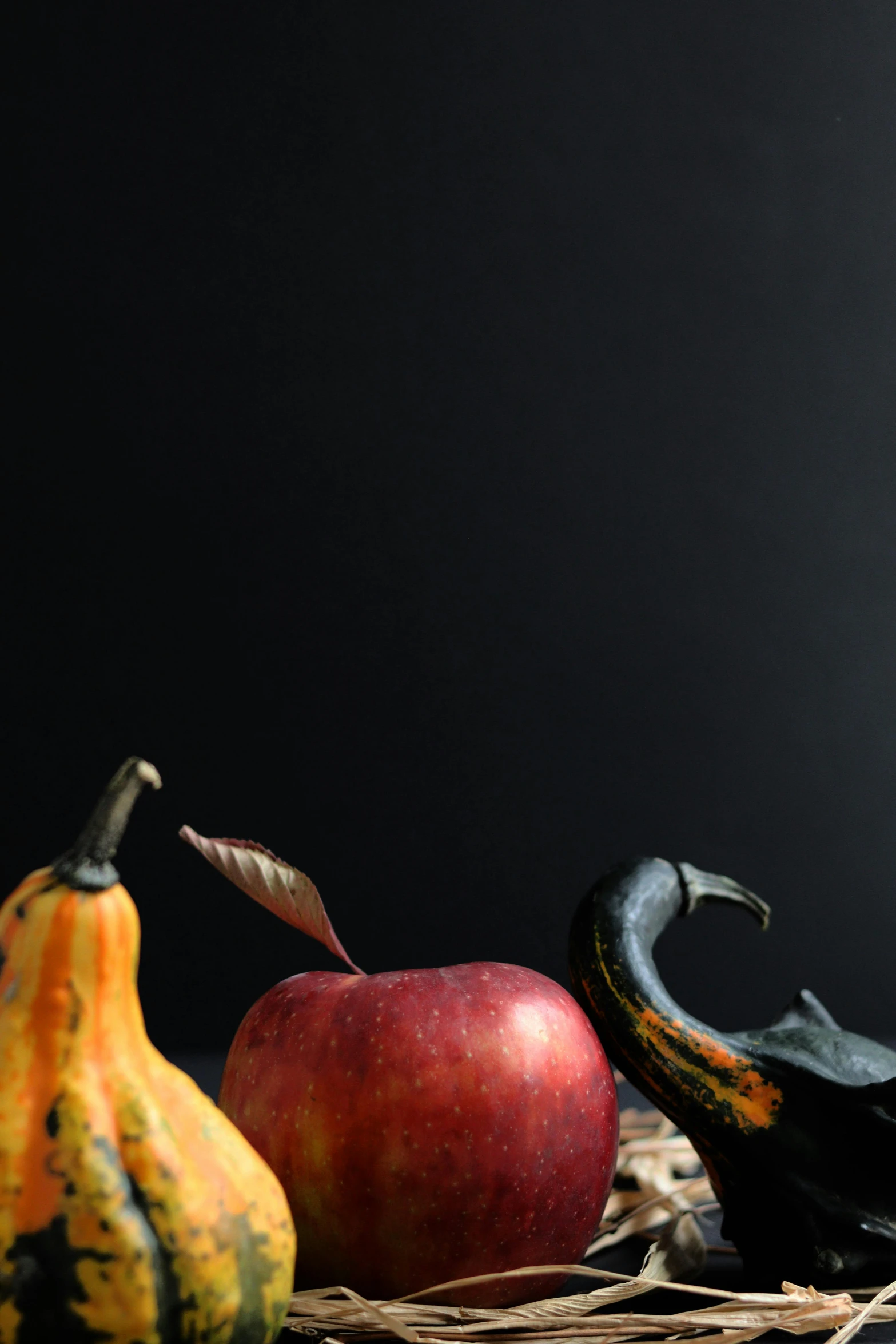 a bunch of fruit sitting on top of a table, horns. dark colors, ap news photograph, square, fall