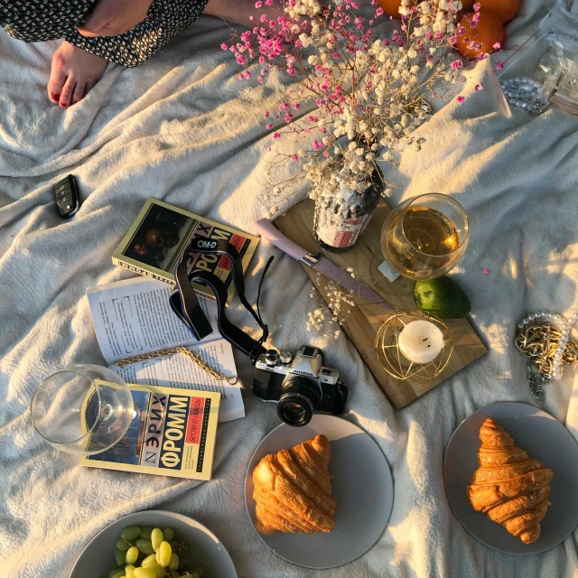 a woman sitting on top of a blanket next to plates of food, by Carey Morris, pexels contest winner, romanticism, books and flowers, sun down, dog eating croissants in paris, having a picnic