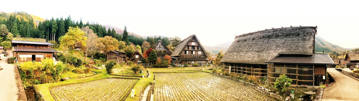 a couple of houses sitting on top of a lush green field, a picture, unsplash, ukiyo-e, thatched roof, autumnal, 🚿🗝📝, 👰 🏇 ❌ 🍃