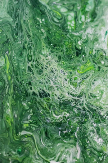 a close up of a green liquid substance, a detailed painting, inspired by Art Green, reddit, abstract art, 144x144 canvas, oganic rippling spirals, environmental artwork, green and white