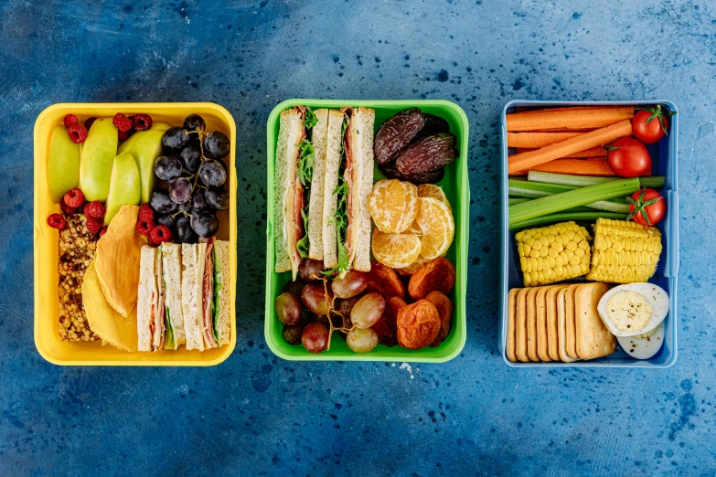 three plastic containers filled with different types of food, by Julia Pishtar, pexels, bauhaus, sandwich, blue and orange, kid a, thumbnail