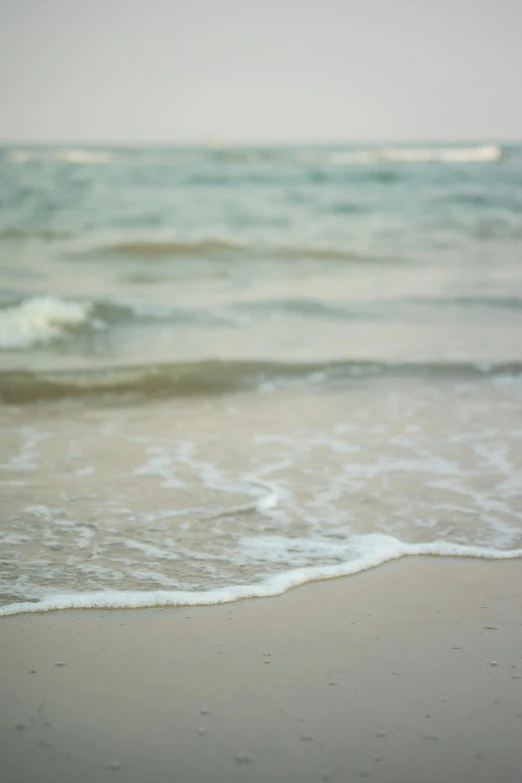 a bird standing on top of a beach next to the ocean, by Tracey Moberly, unsplash, minimalism, foamy waves, blurred detail, michigan, medium format. soft light