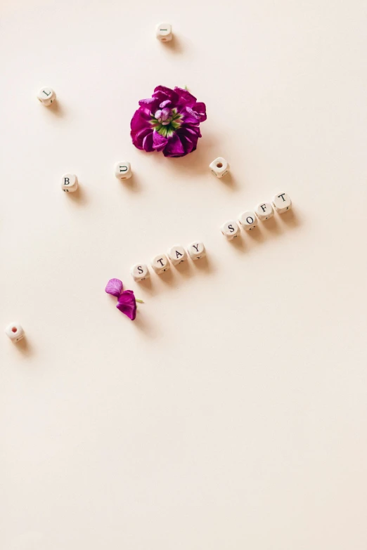 a pink flower sitting on top of a white surface, inspired by Cerith Wyn Evans, trending on pexels, lettering, beads, concept photoset, purple color