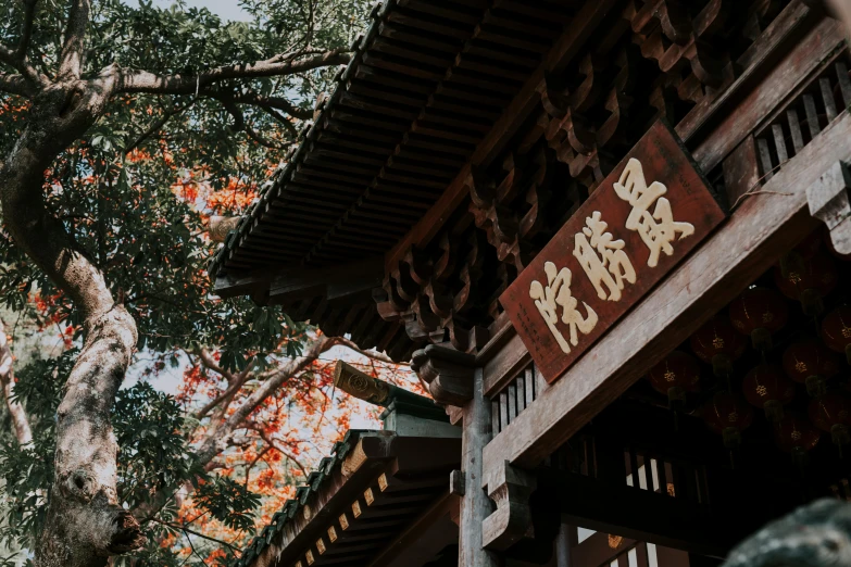 a close up of a building with a tree in the background, trending on unsplash, ukiyo-e, brown, signboards, chinese temple, high detail photo