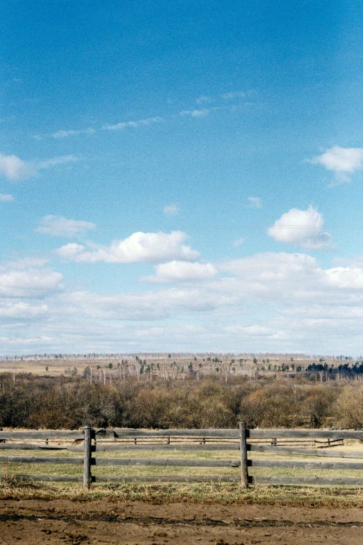 a brown horse standing on top of a dirt field, vast expansive landscape, west slav features, sparse bare trees, a park