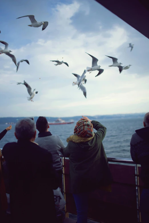 a group of people on a boat watching seagulls, by Niyazi Selimoglu, happening, seaview, whirling, postprocessed)