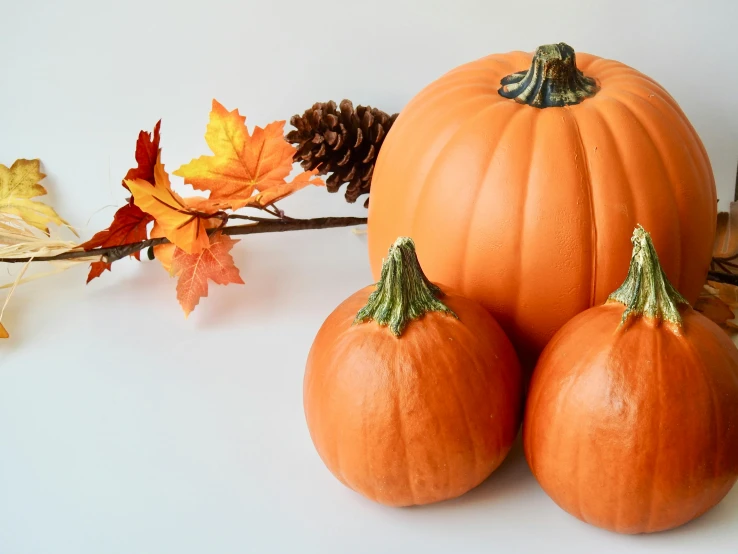 a group of three pumpkins sitting on top of a table, by Carey Morris, pexels, on a white table, background image, fan favorite, hi-res