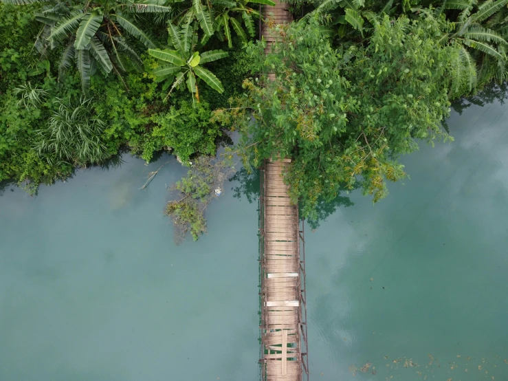 a long wooden bridge over a body of water, an album cover, pexels contest winner, hurufiyya, colombian jungle, high angle vertical, philippines, thumbnail