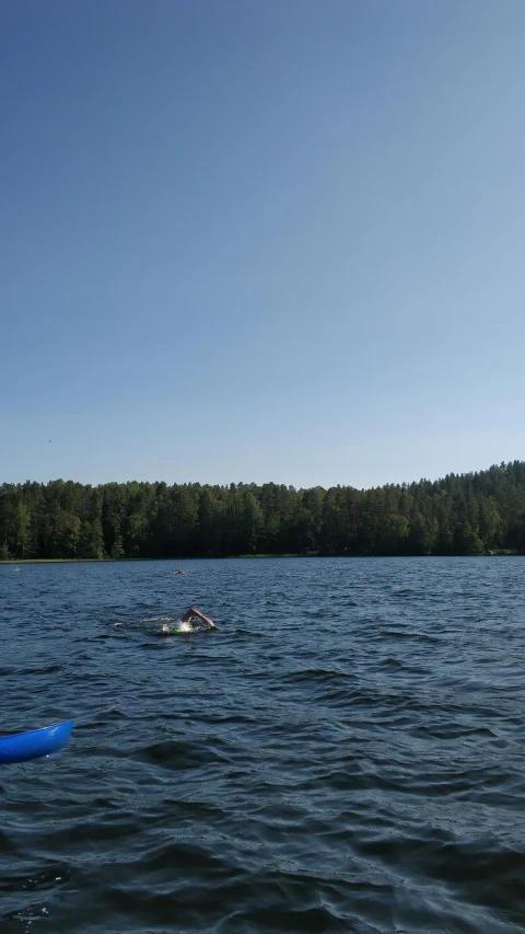 a man riding a surfboard on top of a lake, by Jaakko Mattila, hurufiyya, low quality photo, swimming, near forest, very accurate photo