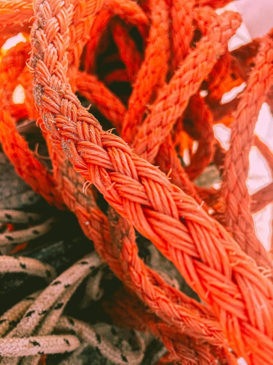 a pile of orange rope sitting on top of a table, by Jessie Algie, pexels contest winner, vibrant red, aquaman aesthetic, closeup 4k, instagram story