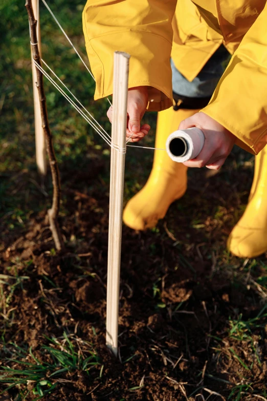 a person in yellow rain gear tending to a tree, land art, holding wine bottle, nitrogen-rich soil, rectangle, bottom shot