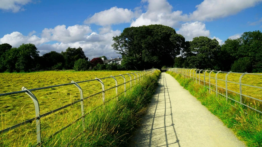 a dirt path in the middle of a field, railing along the canal, shap, vibrant greenery, midday photograph