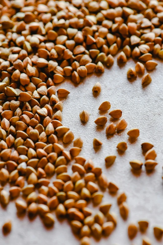 a pile of seeds sitting on top of a table, by Julia Pishtar, trending on pexels, papyrus, close up of iwakura lain, textured base ; product photos, ivy
