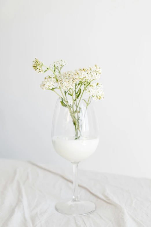 a vase filled with white flowers sitting on top of a table, minimalism, wine glass, flowing milk, uncropped, white backdrop