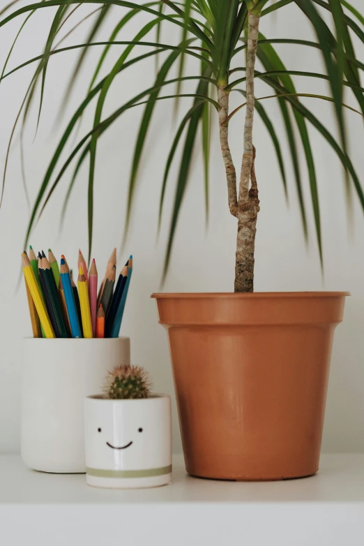 a plant sitting on top of a white shelf next to a potted plant, a child's drawing, friendly face, pencils, coworkers, collection product