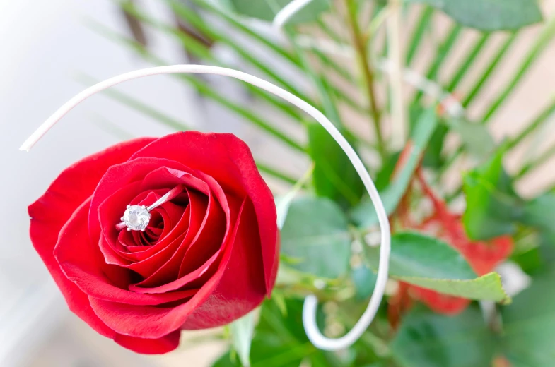 a close up of a red rose in a vase, hook as ring, with sparkling gems on top, lush surroundings, an award winning