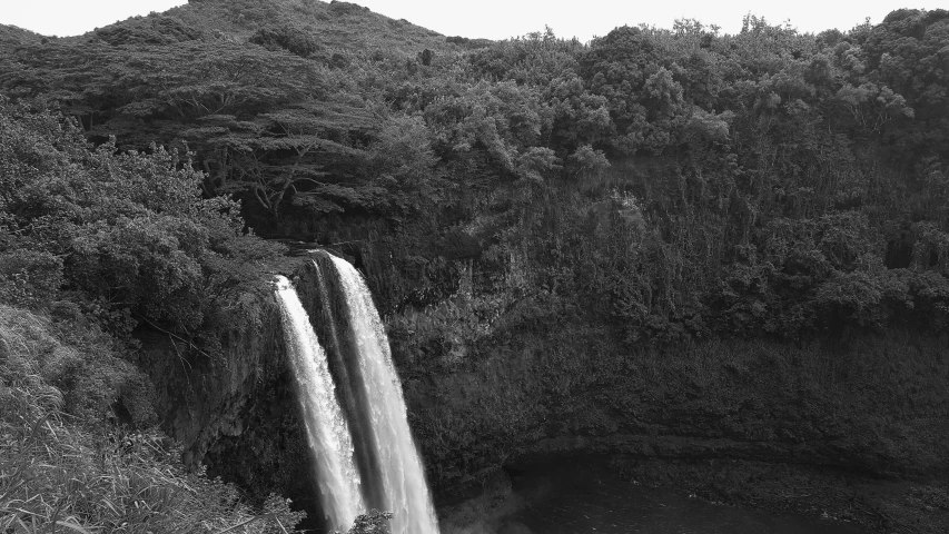 a black and white photo of a waterfall, hurufiyya, hawaii, lakes and waterfalls, whale fall, 8 k photo