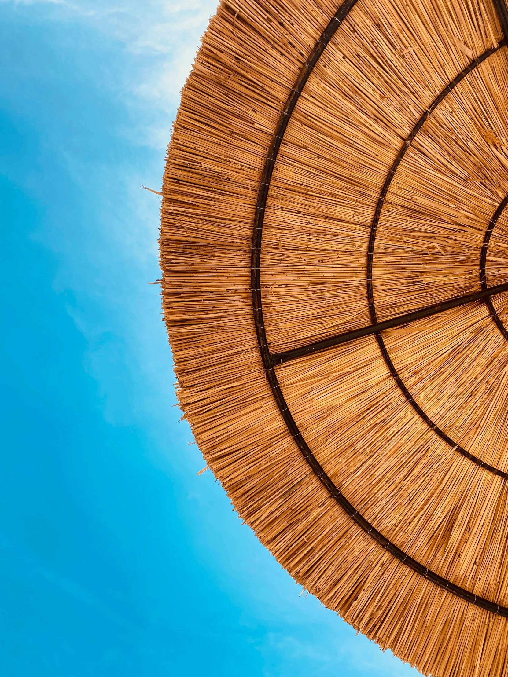 an umbrella with a blue sky in the background, an album cover, by Matthias Stom, trending on unsplash, renaissance, made of bamboo, straw, tan complexion, round format
