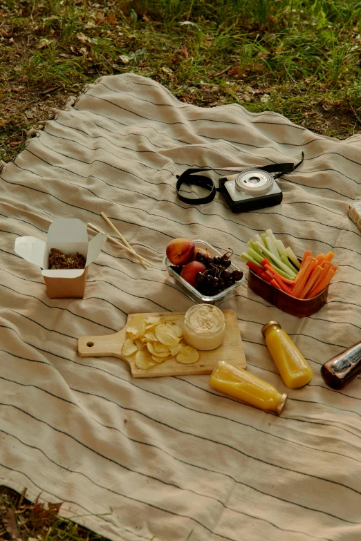 a picnic blanket sitting on top of a grass covered field, various items, offering a plate of food, food, panoramic