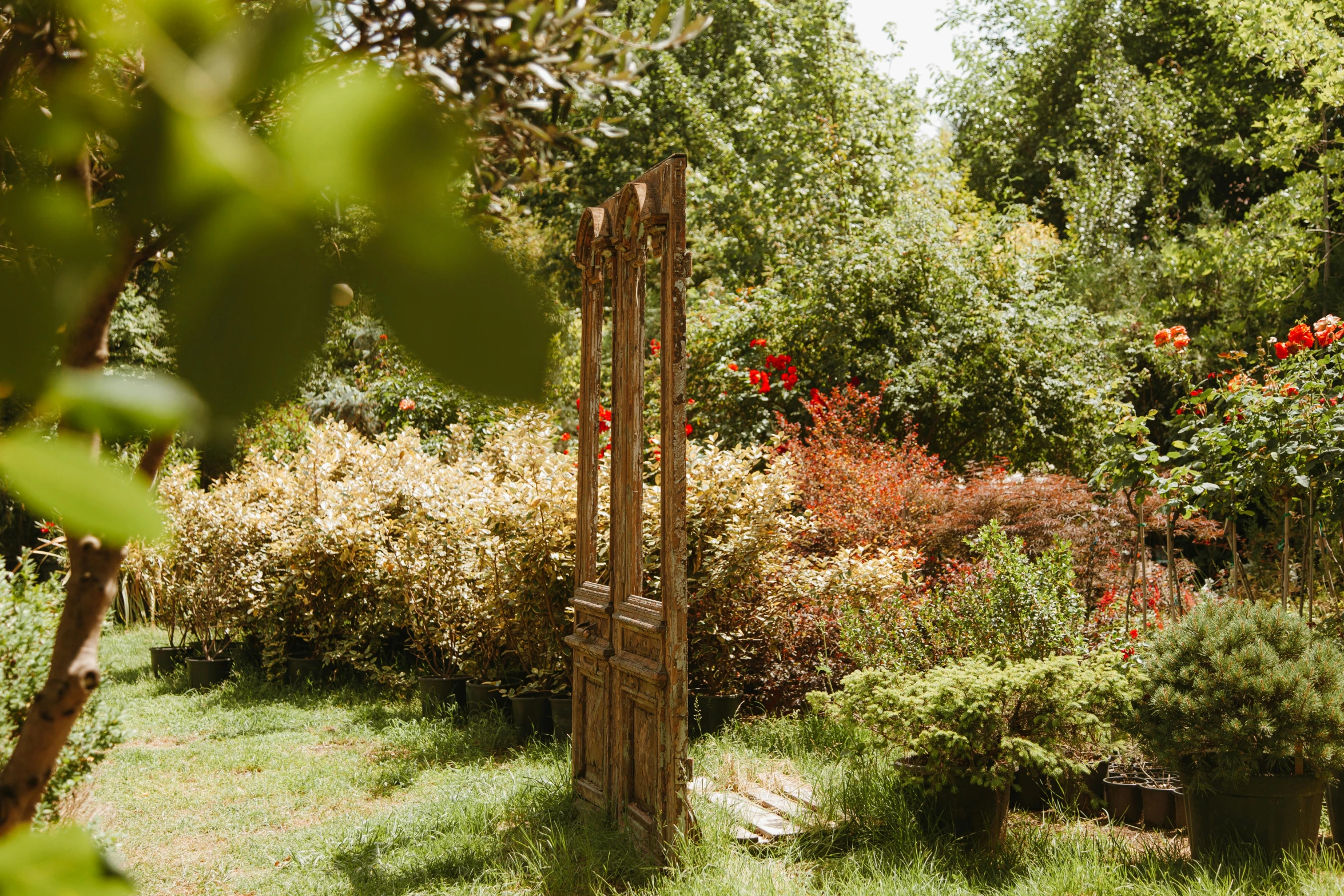 a wooden gate in the middle of a garden, an album cover, unsplash, arts and crafts movement, door, worn, big french door window, standing in a botanical garden