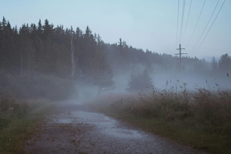 a dirt road next to a forest on a foggy day, an album cover, inspired by Elsa Bleda, nina tryggvadottir, humid evening, ignant, with thunderstorms