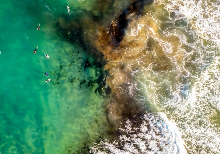 a group of people swimming in a body of water, by Lee Loughridge, pexels contest winner, oil spill, gold coast australia, bird\'s eye view, standing on surfboards