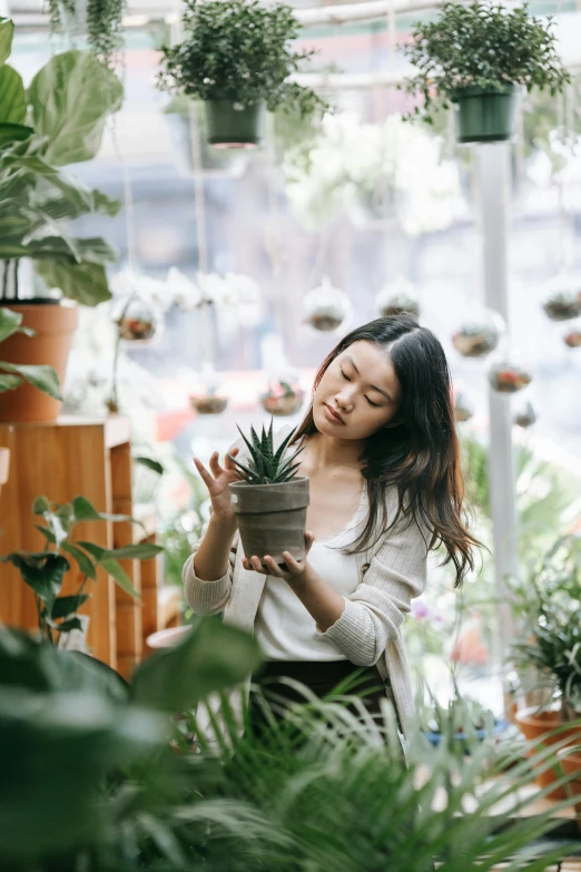 a woman holding a potted plant in a greenhouse, trending on unsplash, young asian girl, flirting, flower shop scene, lush brooklyn urban landscaping