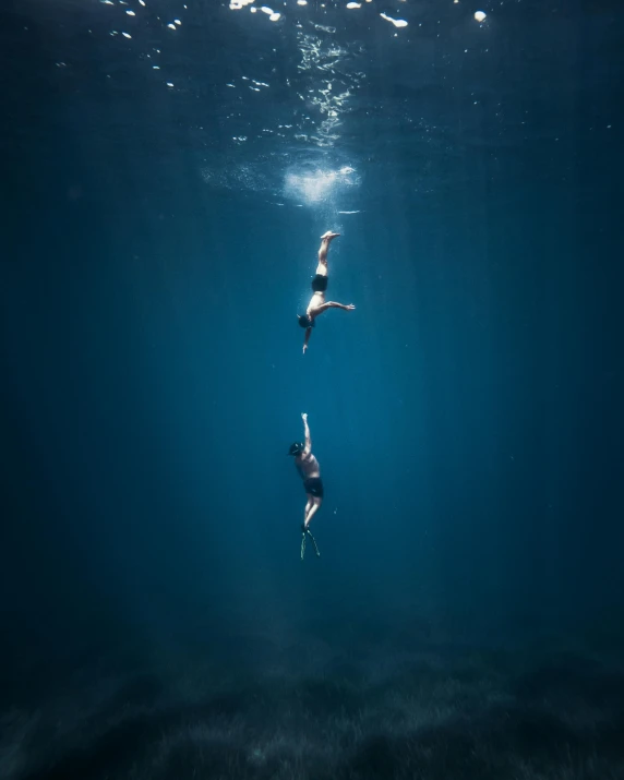 two people swimming underwater in the ocean, by Sebastian Spreng, unsplash contest winner, dark blue water, hanging from the ceiling, national geographic photo, 500px
