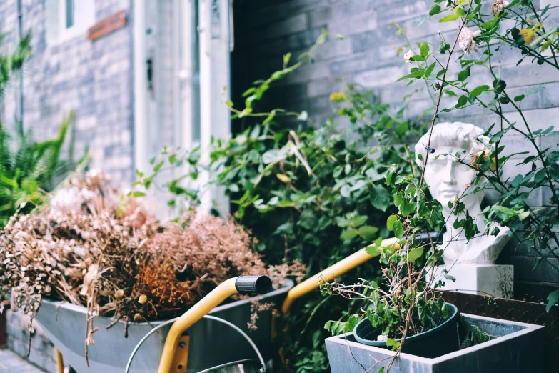 a row of planters sitting on the side of a building, by Carey Morris, trending on unsplash, humanoids overgrown with flowers, watering can, profile image, overgrown with lush vines