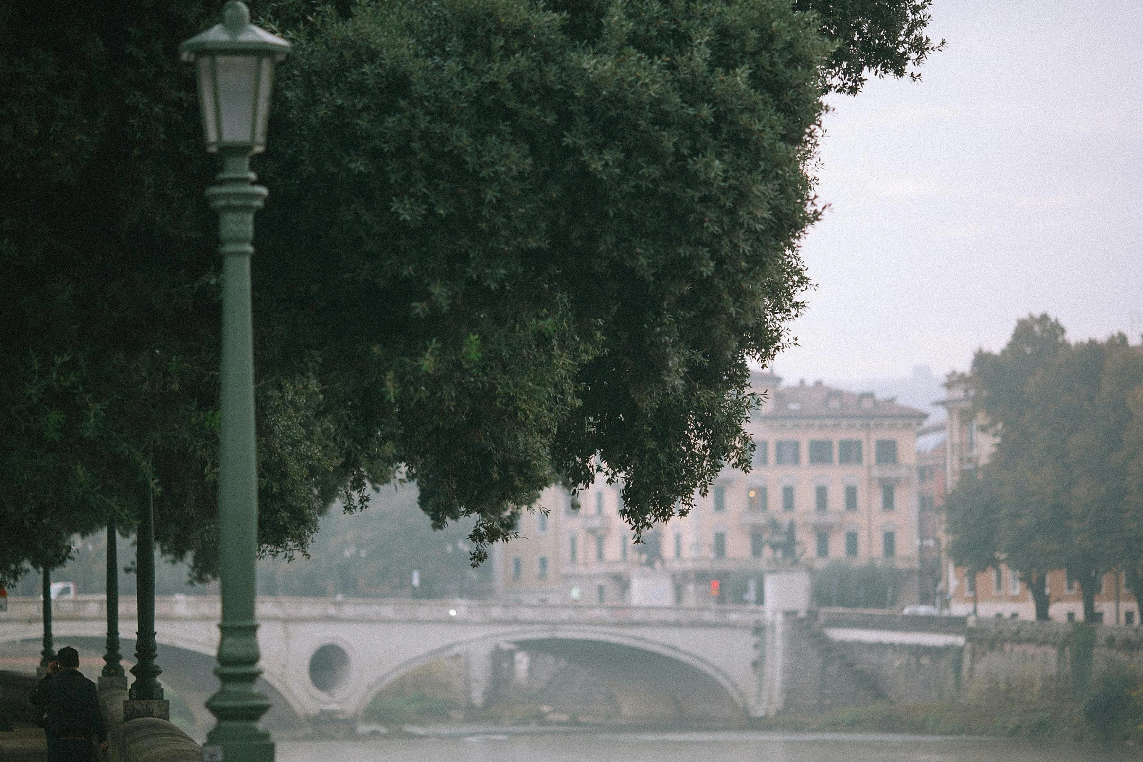 a couple of people walking down a sidewalk next to a river, unsplash contest winner, neoclassicism, atmospheric haze, roma, streetlamp, trees bent over the river